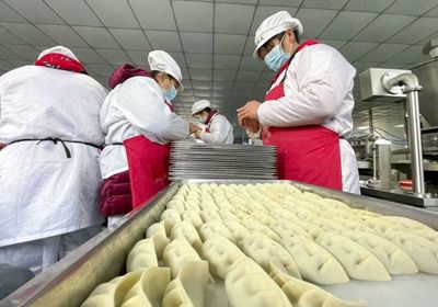 饺子工厂生产忙