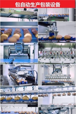 食品生产过程 食品生产过程AE模板下载